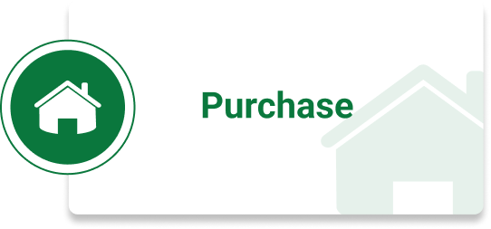 Purchase Green