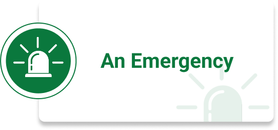 Emergency Green