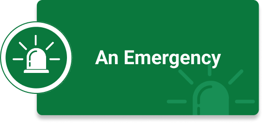 Emergency Green